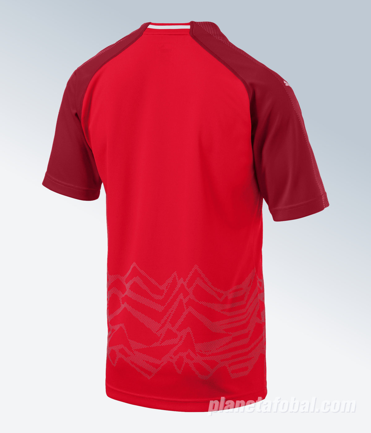 Camiseta titular de Austria | Imagen Puma