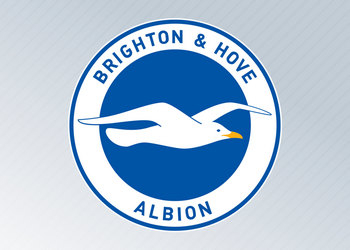 Camisetas del Brighton & Hove Albion (Nike)