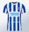 Camiseta Nike del Brighton & Hove Albion 2021/22 | Imagen Web Oficial