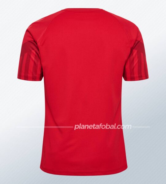Camisetas Hummel de Dinamarca Mundial 2022 (Local)