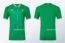 Camiseta Castore de Irlanda 2023