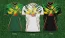 Camisetas Airness de Mali Copa Africa 2023